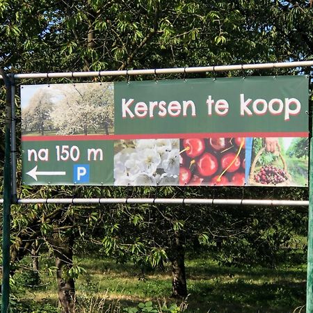 Gastenverblijf Op De Prins Hendrik Hoeve In Buren Buren  Экстерьер фото