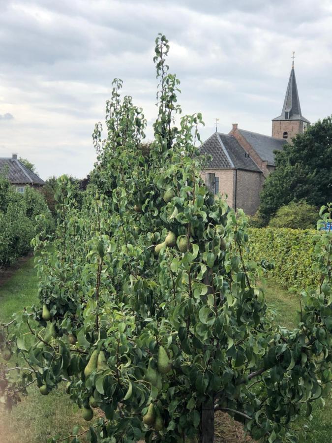 Gastenverblijf Op De Prins Hendrik Hoeve In Buren Buren  Экстерьер фото