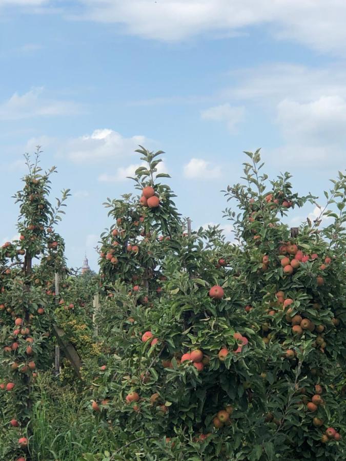 Gastenverblijf Op De Prins Hendrik Hoeve In Buren Buren  Экстерьер фото